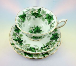 Royal Albert Ivy Lea Tea Cup, Saucer and 6 1/4 Plate Tro Set