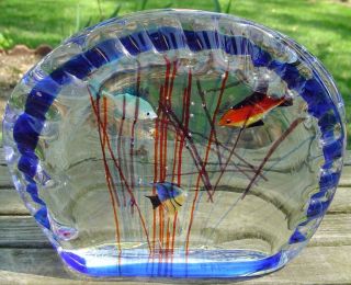   Signed Sandro Frattin Murano Art Glass Fish Tank Aquarium WOW
