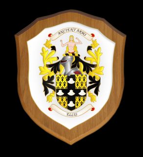 Family Crest Coat of Arms Shield with Any Name