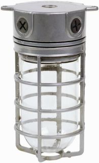   Ceiling Mount Light Fixture with Metal Cage Bulb Protector, 150 Watt