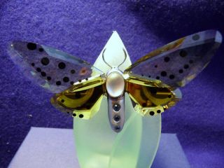 Swarovski Amorita Butterfly Jonquil Object 622743