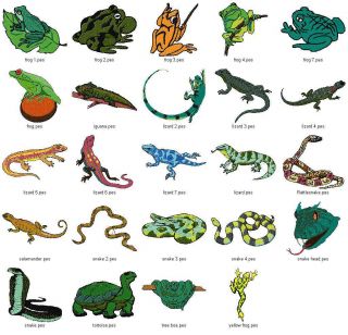 frogs reptiles more vol 1 frogs reptiles more vol 2