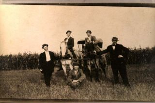 Pre 1920s RPPC Horses in Corn Field in Christine North Dakota ND Card 