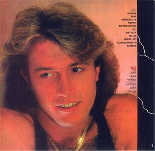 you disagree with the shipping policy andy gibb after dark