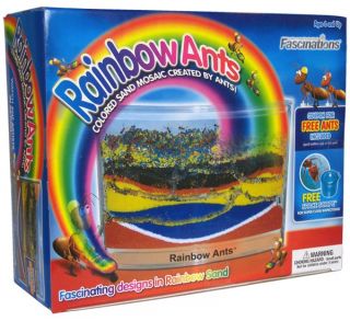 buy rainbow ant farm kids educational ant farm__63948_zoom