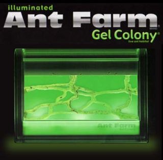just like the uncle milton s ant farm gel colony the illuminated gel 