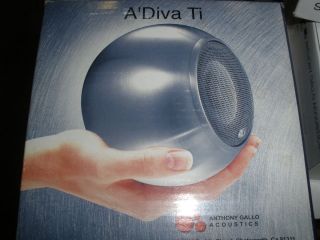 Anthony Gallo ADiva TI Speaker Stainless Steel 718122176212
