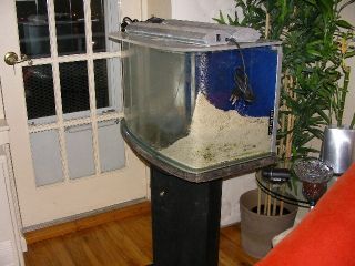 Salt Water 25 Gallons Custom Made Fish Tank with Light Pump