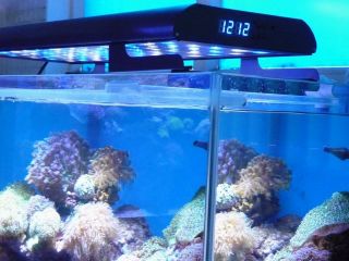   SD card User defined Program Intelligent Remote LED Aquarium Light