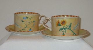 Royal Stafford Gardeners journal Tea Cup & Saucer