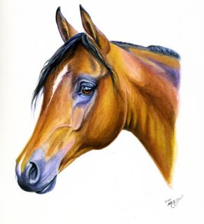 Original Arabian Horse Art Watercolor Painting Equine Realism Hand 