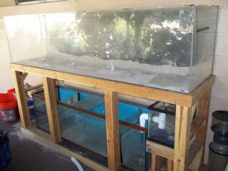 240 Gallon Acrylic Aquarium with 125 Gallon Glass Sump + EXTRAS (NO 