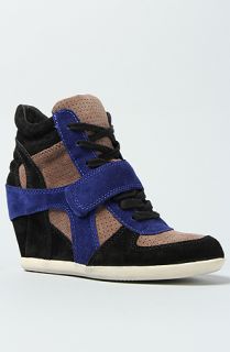 Karmaloop Ash Shoes The Bowie Mul Sneaker Black & Blue Multi