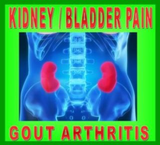 200x Kidney Bladder Infection Stone Pain Gout Arthritis