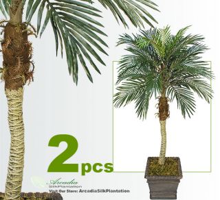 Two 5 Phoenix Coconut Palm Artificial Tropical Tree 05