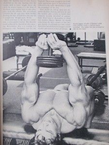 MUSCLE BUILDER bodybuilding magazine/ARNOLD SCHWARZENEGGER 8 73