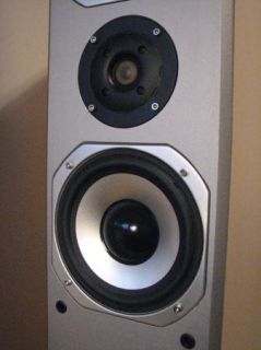 Digital Audio 2002 Tower Speakers AD880SL Light Oak