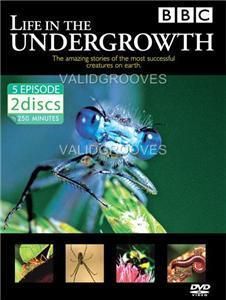   in The Undergrowth BBC Nature D Attenborough DVD 794051251428