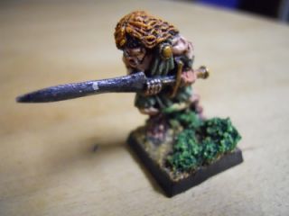 Warhammer Pro Painted Wood Elf Highlander Free SHIP