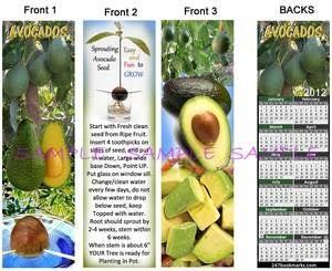 lot AVOCADO 2012 CALENDAR BOOKMARKS Card HOW to Grow SEED PIT TREE 