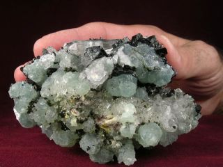 Big Shiny Babingtonite Crystals w Prehnite Quartz Showy