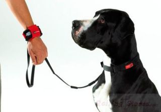   Hands Free Dog Leash Attaches to Wrist, Jogging, Walking, Adjustable