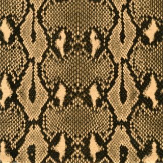 Caspari 2 5 Rolls Gold Black Python Gift Wrap Continuous Wrapping 