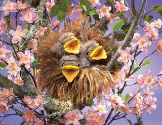 Baby Birds in Nest Puppet 6 by Folkmanis Puppets