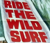 1964 Ride The Wild Surf Fabian Barbara Eden RARE Movie Poster 27x41 N 