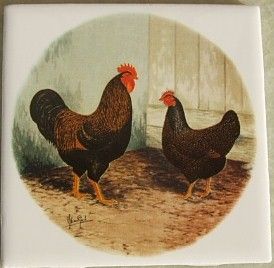 Ceramic Tile w Chicken Rooster Barneveldor