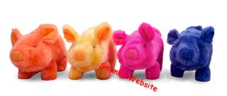 Mr Bacon The Racing Pig Toy School Fast Fun Race New