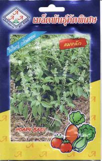 Packet of Thai hoary Basil vegetable Seeds Maeng Lak