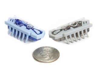 hexbug nanos actual size your colors will be random