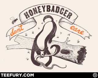 Honey Badger Dont Care T Shirt $1.99 shipping for $7.99   clothing, t 