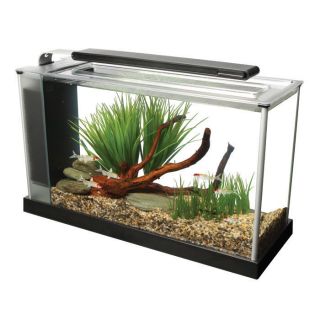 Fluval Spec V Aquarium Kit 5 gallon w/ ADA Aqua Soil  ia 