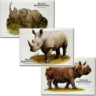 Endangered Rhino Collectible Art Magnets set White, Black & Indian 