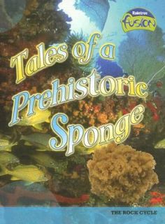Tales of a Prehistoric Sponge The Rock Cycle by Andrew Solway and Clay 