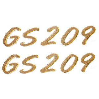 LARSON / GLASTRON 0572169 GS 209 METALLIC GOLD 6 X 1 1/4 IN BOAT 