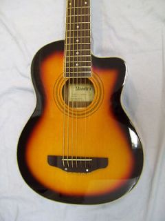 Newly listed Fretless Electric and Acoustic Bass Guitar, 7 string with 