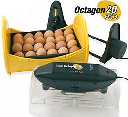 Octagon 20 ECO with Auto turn Cradle   the economical, yet functional 