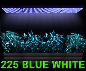 Hydroponic 900 LED Grow Light Blue White 4 Panel 52w 4 Aquarium Coral 