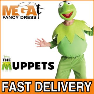 Deluxe Kermit The Frog The Muppets Boys Kids Fancy Dress Kids Costume 