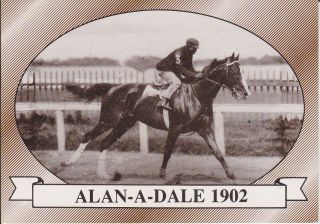 ALAN A DALE 1902 KENTUCKY DERBY WINNER THOROUGHBRED RACE HORSE 