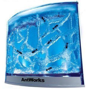Fascinations Antworks Illuminated Ant Farm Lighted Blue desktop pet 