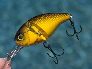 The Aragon has the unique feature of being a jointed, diving crankbait