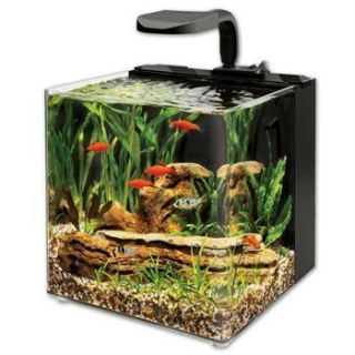 Fish Tanks Aqueon Evolve LED Aquarium Kit
