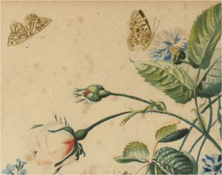 Antoine Chazal Bouquet de Fleurs Insectes Bidault Huysium Misbach 