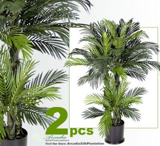 Six Phoenix Palm Artificial Tropical Trees Potted NEW79