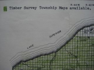 1937 Timber Survey Map Ottawa National Forest Michigan