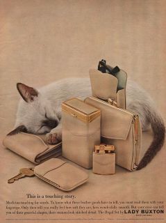 Siamese Kitten with Lady Buxton Regal Set Lighter Purse Cigarette Case 